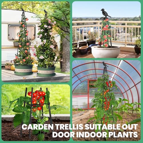 HASTHIP® 120CM Trellis for Climbing Plants Plastic Climber Support Adjustable Triangle Creeper Plant Sticks for Clematis Roses Ivy 3PCS HASTHIP® 120CM Trellis for Climbing Plants Plastic Climber Support Adjustable Triangle Creeper Plant Sticks for Clematis Roses Ivy 3PCS